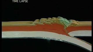 Plate Tectonics  How Mountains are Made [upl. by Aleicarg]