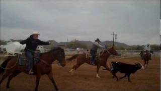 Team Roping in Maricopa Arizona  Maricopa AZ Horse Properties [upl. by Justis253]