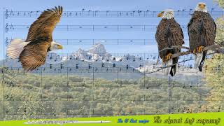 🎶 LE CHANT DES RAPACES  Instrumentale 🎶 [upl. by Cha]