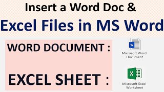 Word to Excel Converter  Word in Excel Document InsertWordInExcel WordToExcel WordDocument [upl. by Osterhus]