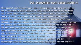 Das Evangelium nach Lukas Kapitel 6 [upl. by Hernando]