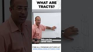 What Are Tracts drnajeeb drnajeeblectures shortvideostatus [upl. by Viradis]