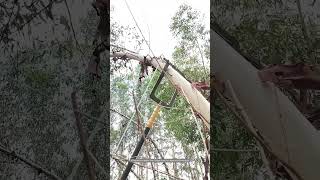 Tree Hanging Rope Gadget Working Process [upl. by Ttegirb]