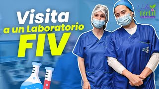 Visita a un laboratorio FIV  Vida Fértil  EP 10 [upl. by Kenaz790]