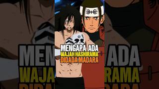 Kenapa ada wajah hashirama di dada madara naruto animeindo [upl. by Aklog]