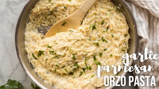 Garlic Parmesan Orzo Pasta made in one pot  The Recipe Rebel [upl. by Hoy]