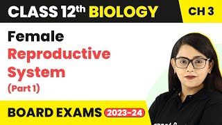 Class 12 Biology Ch 3  Female Reproductive System Part 1  Human Reproduction CBSENEET 202223 [upl. by Isak]