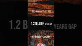 viralvideo viralreels amazingfacts solarsystem [upl. by Boony]