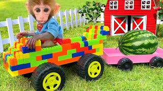 Baby Monkey Bon Bon Broken Truck While Harvesting Fruit and Get Helped By Puppy [upl. by Kampmann]