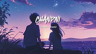 Chandni Slowed  Reverb  Sachet Tandon Parampara Tandon  Lofi Song [upl. by Aicram]