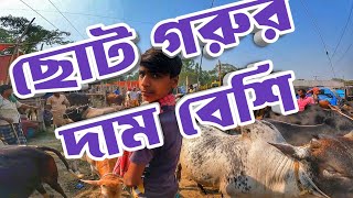 কোরবানির গরু কেনা হল না  পাড়াগ্রাম হাট  Purbasha Agro [upl. by Hamann]