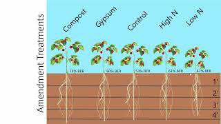 Dry Farming Soil Management 2021 [upl. by Onidranreb]