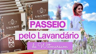 VISITANDO OS CAMPOS DE LAVANDA NO PARANÁ [upl. by Choong]