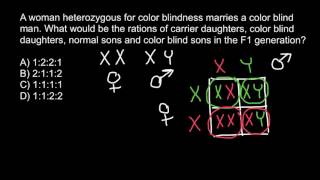 How to solve X chromosome linked genetics problems [upl. by Arline]