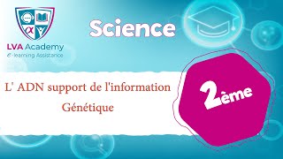 ✅ Science  L ADN support de linformation Génétique  2ème année [upl. by Carley]