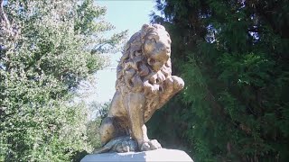 RUTLAND LIONS CLUB  GOLDEN LION STATUE  seen at MISSION CREEK REGIONAL PARK Kelowna BC Canada [upl. by Sedicla]