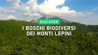 I boschi biodiversi dei Monti Lepini [upl. by Yrtneg755]