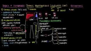 What is chronic myelogenous leukemia [upl. by Ahsiener1]