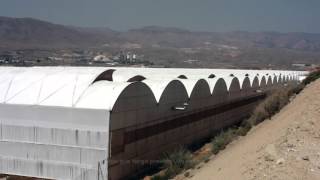 Montaje y mantenimiento de invernaderos Sistemas Hortícolas de Almería [upl. by Ecnerual785]