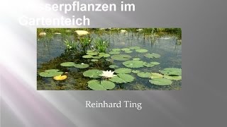 Wasserpflanzen im Gartenteich  Reinhard Ting [upl. by Miun]