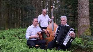 Ländlertrio Zaugg Scheuner Wäfler Kari uf Touren [upl. by Taft777]