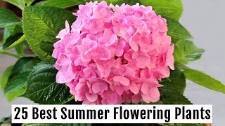 Grow These 25 BEST Summer Flowering Plants This Season  PART 1 [upl. by Elleiad341]