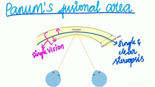 HOROPTER EXPLAINED IN TAMIL [upl. by Haven]