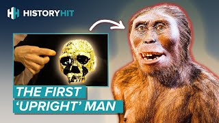 Homo erectus  Why Did the Most Successful Early Human Go Extinct [upl. by Linis]