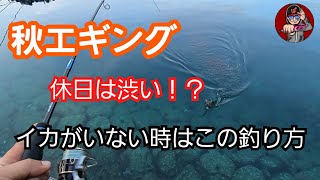 【エギング】休日はイカがスレてる！？そんな時は目で見て探さない [upl. by Auberta]