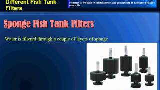 Advantages And Disadvantages Of Different Fish Tank Filters [upl. by Weidman]