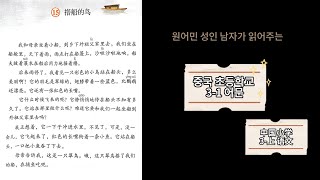 중국 초31 교과서 낭독 원어민 남성 ver  搭船的鸟 [upl. by Kcirad]