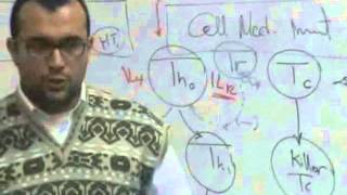 Immunology Revision quotPart 2quot [upl. by Lamberto]