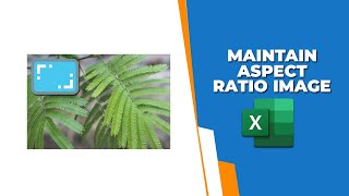 How to maintain aspect ratio of image in Excel [upl. by Ialocin]