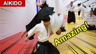 Amazing Aikido  Shirakawa Ryuji shihan [upl. by Analak]