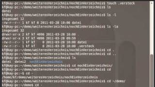 Navigieren unter Linux  Nutzen der Konsole [upl. by Waly]