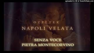 Pietra Montecorvino  Senza Voce Official Soundtrack Napoli Velata  Ferzan Ozpetek [upl. by Koah]