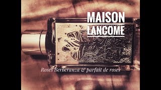 Розы Maison Lancôme parfait de roses и berberanza Обзор и сравнение [upl. by Shulman]