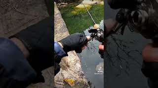 Stream Fishing lurefishing fishing fishingvideo bassfishing lure streamfishing carpfishing [upl. by Reinert951]