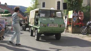 50 Jahre Haflinger Parade Schönberg Teil 2 [upl. by Eelirem516]