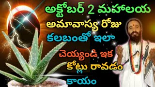 అక్టోబర్ 2 అమావాస్య రోజు కలబంధతో ఇలాచ్చెయ్యండి ఇక ఇంట్లికి ధనం దూసుకు వస్తుంది కోటీశ్వరులు అవుతారు [upl. by Aivatco74]