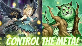 Runick Naturia Deck Controls The Meta Yugioh Master Duel [upl. by Oihsoy]