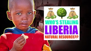 Will There Be A Liberia For The Next Generation The Timber Industry In West Africa 🇱🇷 liberia [upl. by Hildebrandt]