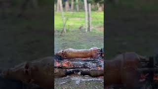 Lechon baboy lechon fyiシ゚viral viralvideo viralshorts [upl. by Bannasch510]