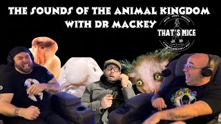 The Sounds Of The Animal Kingdom WDr Mackey [upl. by Jammal226]