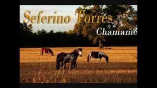 Seferino Torres  Chamamé [upl. by Emily]