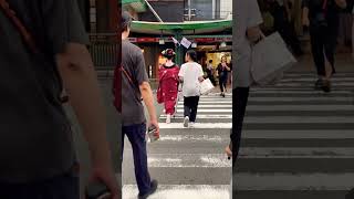 Geisha Walk in the Gion of Kyoto  geisha travel maiko japaneseculture geiko 祭り 舞妓 舞妓 [upl. by Nnylyrehc265]