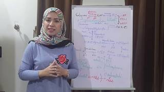 CHO METABOLISM Biochemistry Session 14Gluconeogenesis part1 [upl. by Shyamal672]