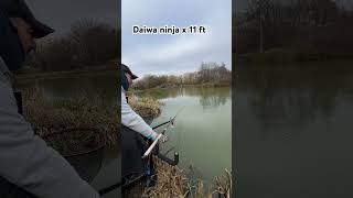 Method feeder run aventuripescaresti fishing carp carpfishing methodfeeder [upl. by Esirahs]