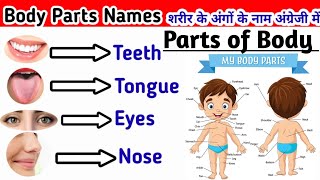 Body Parts Name in english  Body Parts name  Body Parts name for kids  अंगों के नाम अंग्रेजी में [upl. by Eniamrej6]