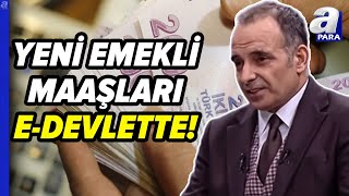 Yeni Emekli Maaşları EDevlette Fazla Görünen Miktar Ne Anlama Geliyor Faruk Erdem Yanıtladı [upl. by Fields581]